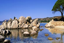 乌拉圭对阵巴拿马，这场足球对决有哪些看点？